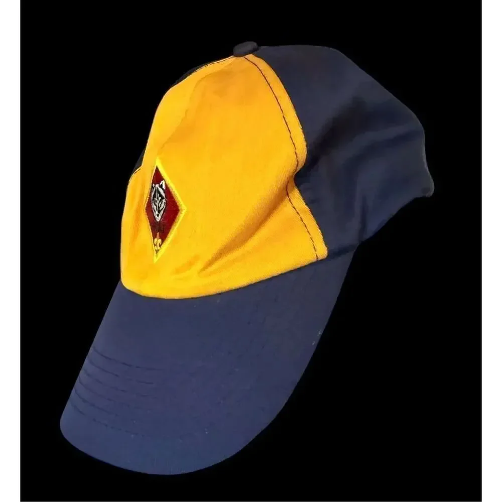 Boy Scouts of America boy scouts